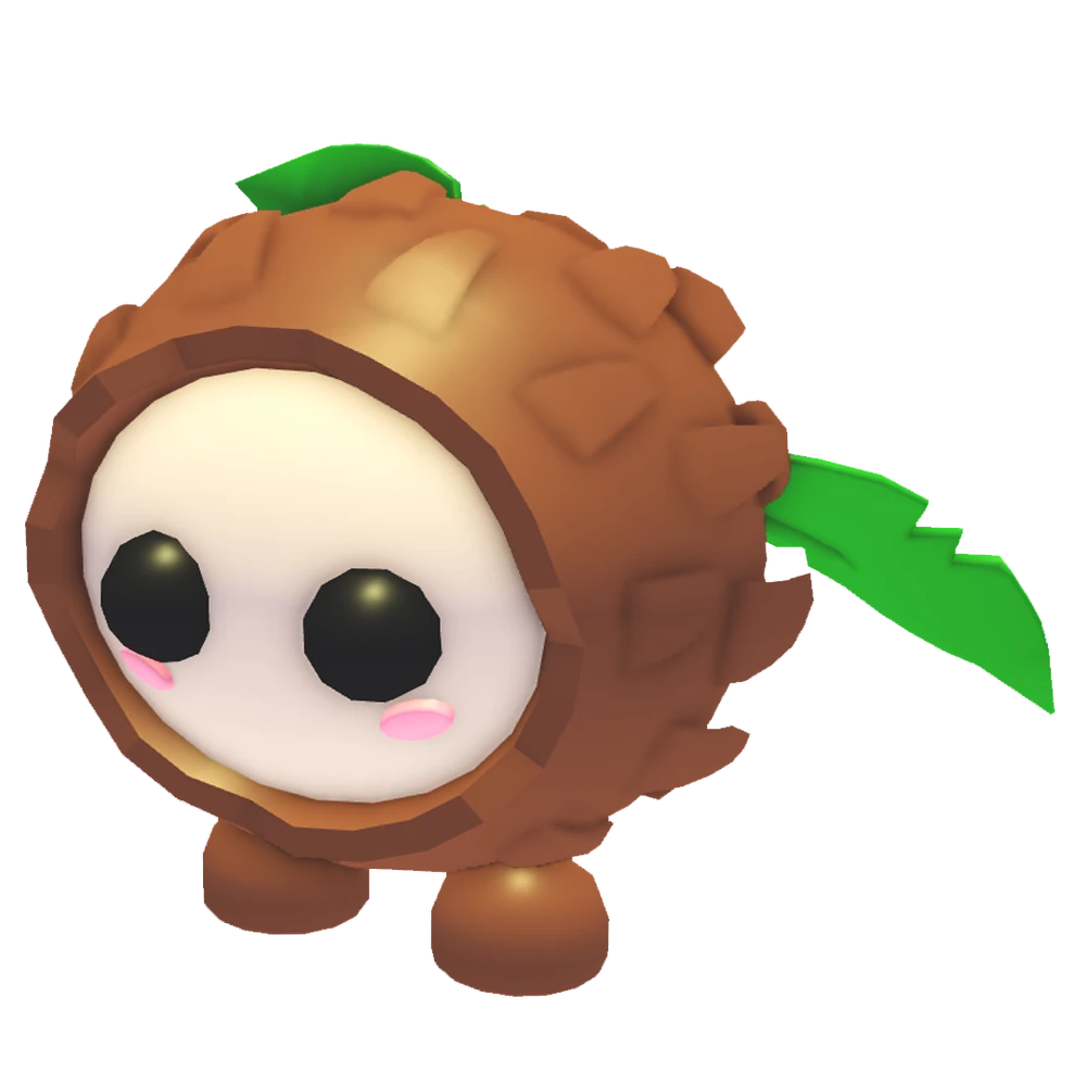 Coconut Friend