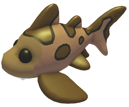 Leopard Shark