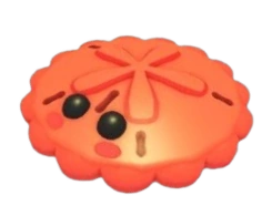 Red Sand Dollar